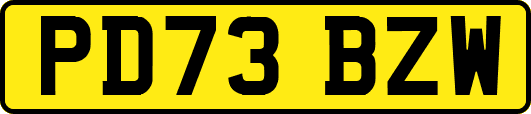 PD73BZW