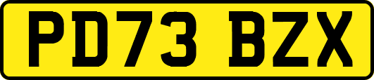 PD73BZX