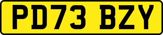PD73BZY