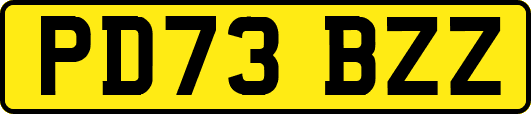 PD73BZZ