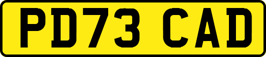 PD73CAD