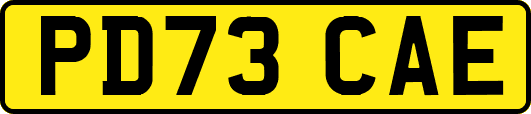 PD73CAE