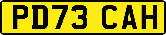 PD73CAH