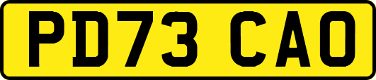 PD73CAO