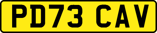 PD73CAV