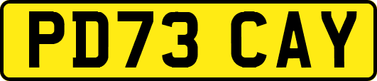 PD73CAY