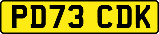 PD73CDK