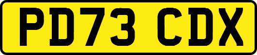 PD73CDX