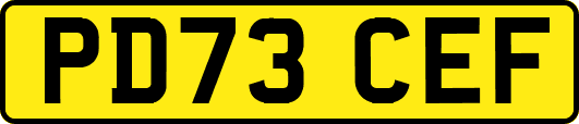 PD73CEF