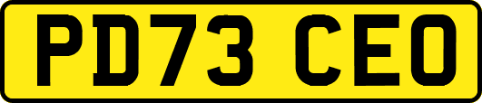 PD73CEO