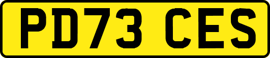 PD73CES
