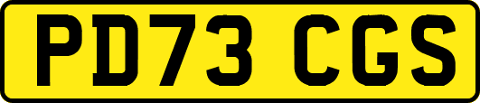 PD73CGS