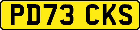 PD73CKS