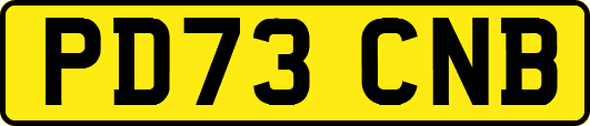 PD73CNB