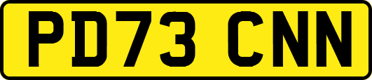 PD73CNN