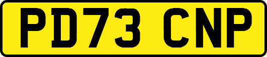 PD73CNP