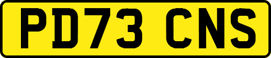 PD73CNS