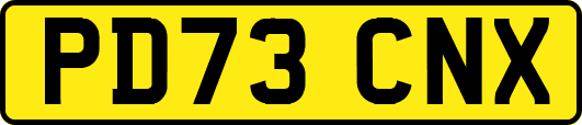 PD73CNX