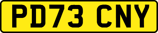 PD73CNY