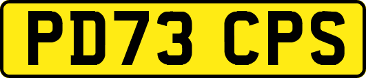 PD73CPS