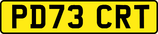 PD73CRT