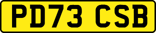 PD73CSB