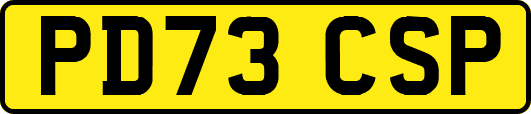 PD73CSP