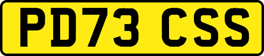 PD73CSS