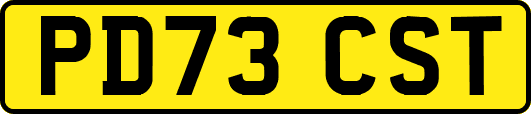 PD73CST
