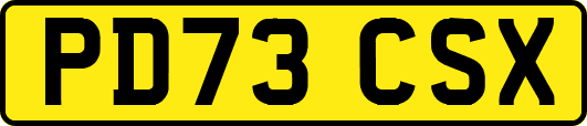 PD73CSX