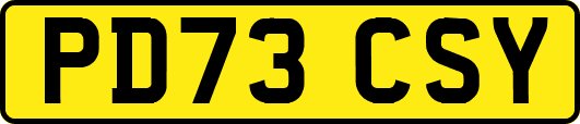 PD73CSY