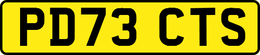 PD73CTS