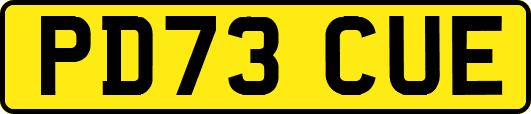 PD73CUE