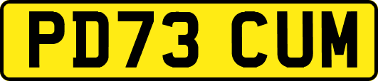 PD73CUM