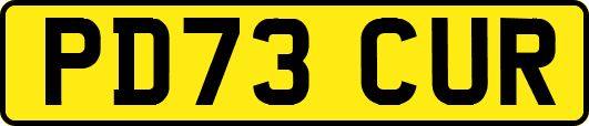 PD73CUR