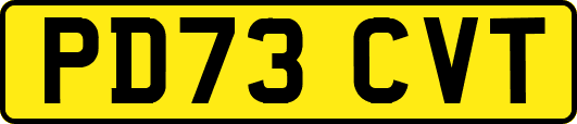 PD73CVT