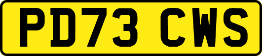 PD73CWS