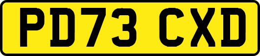PD73CXD