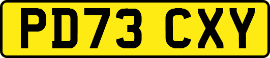 PD73CXY