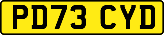 PD73CYD