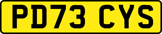 PD73CYS