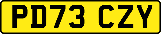 PD73CZY