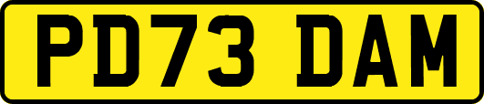 PD73DAM