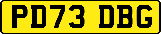 PD73DBG