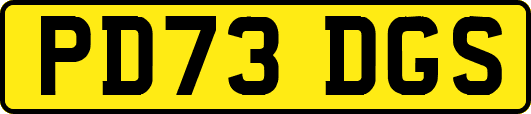 PD73DGS