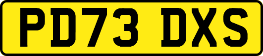 PD73DXS