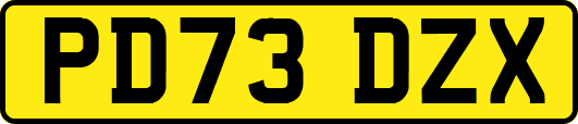 PD73DZX