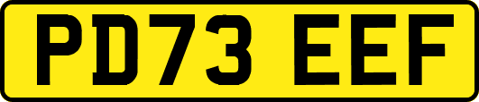 PD73EEF