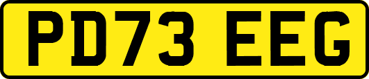 PD73EEG