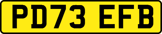 PD73EFB